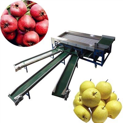 Apfelsortiermaschine