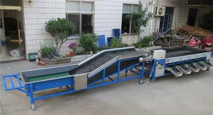 Watermelon Sorting Machines