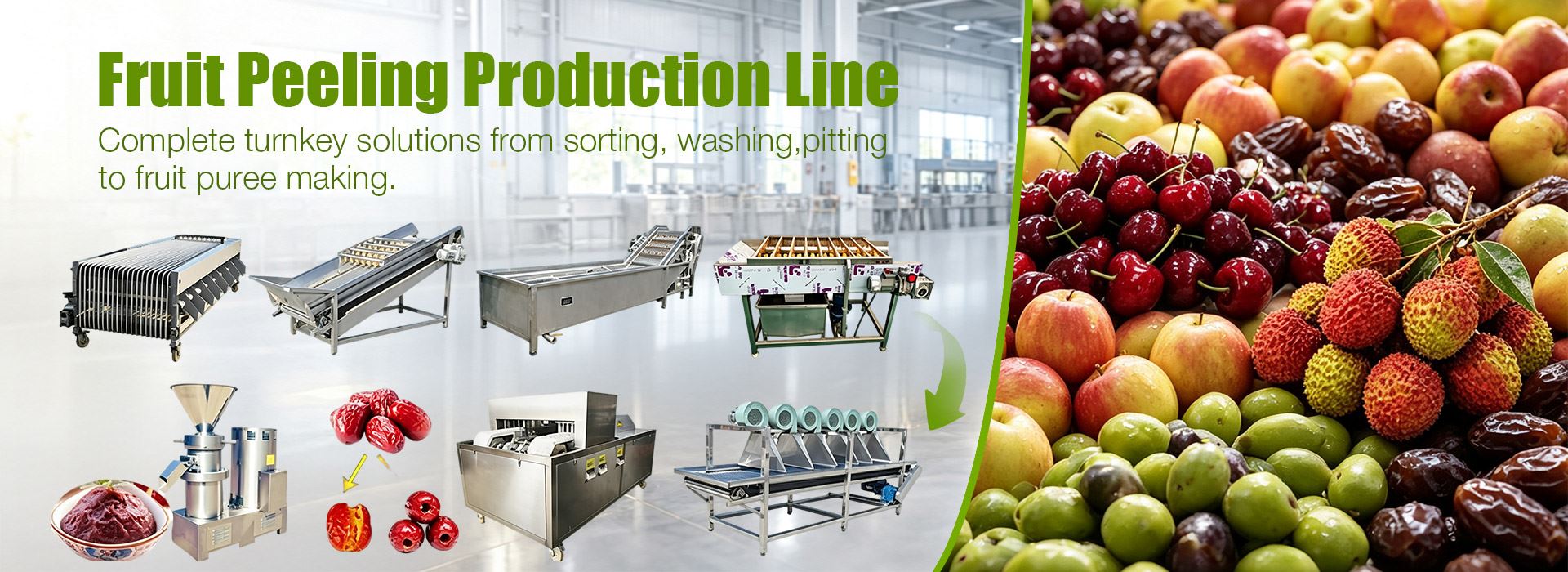 Fruit Peeling Production Line