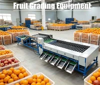 Ausrüstung zur Obstsortierung