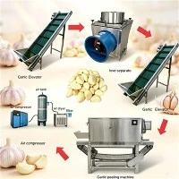 Industrielle Knoblauchschälmaschine