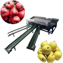 Rollengradermaschine